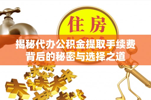 陆川揭秘代办公积金提取手续费背后的秘密与选择之道