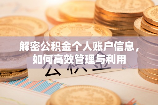 陆川解密公积金个人账户信息，如何高效管理与利用