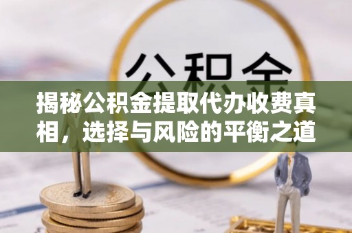 陆川揭秘公积金提取代办收费真相，选择与风险的平衡之道