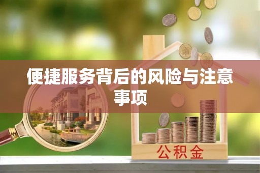 陆川便捷服务背后的风险与注意事项