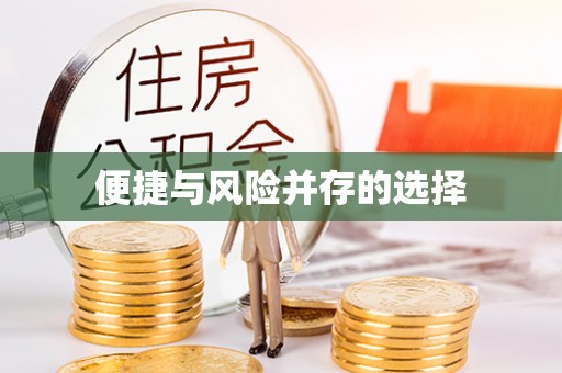 陆川便捷与风险并存的选择