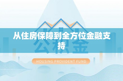 陆川从住房保障到全方位金融支持